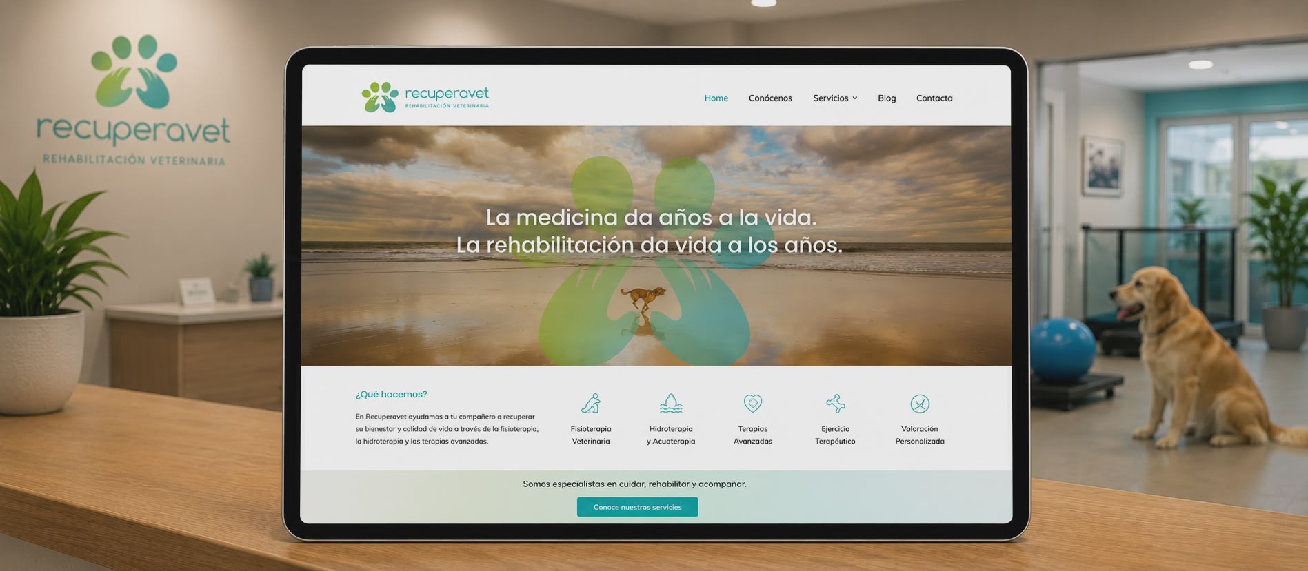 Web Recuperavet